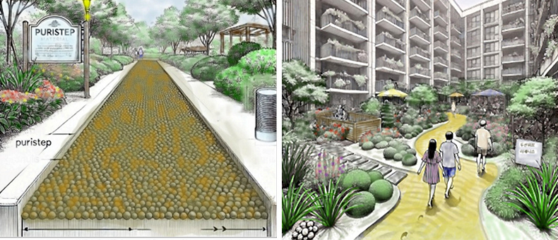 puristep_img02